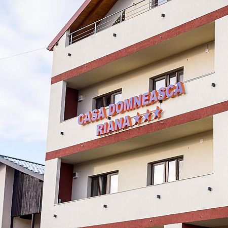 מלון פיטסטי Casa Domneasca Riana מראה חיצוני תמונה