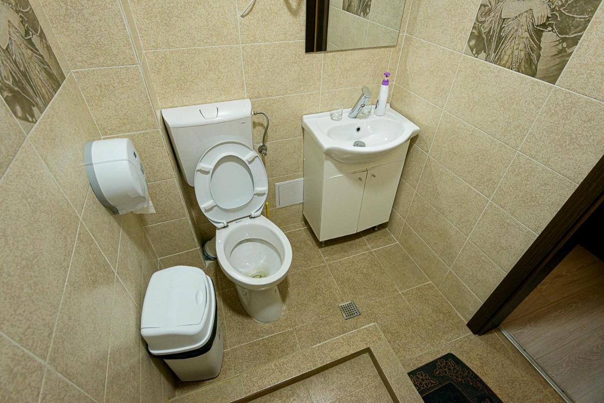 מלון פיטסטי Casa Domneasca Riana מראה חיצוני תמונה